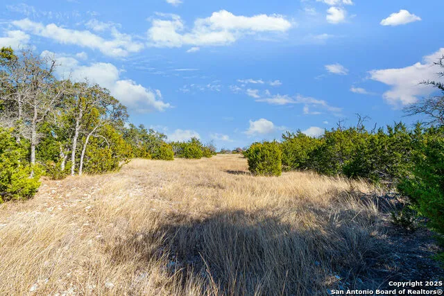 LOT 55 Oakwater Drive Fredericksburg, TX 78624