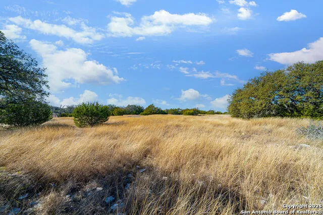 LOT 55 Oakwater Drive Fredericksburg, TX 78624