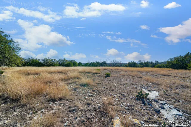 LOT 55 Oakwater Drive Fredericksburg, TX 78624