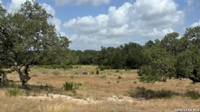 LOT 43 Pr 2535 Mico, TX 78056