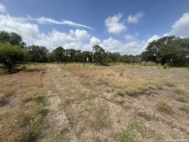 LOT 43 Pr 2535 Mico, TX 78056