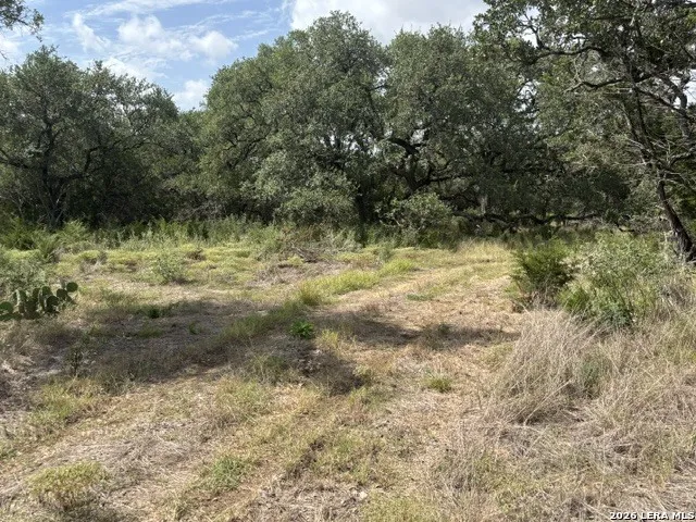 LOT 43 Pr 2535 Mico, TX 78056