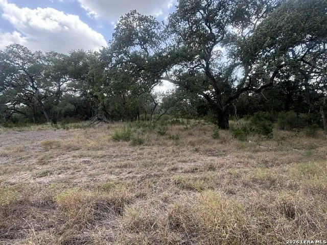LOT 43 Pr 2535 Mico, TX 78056
