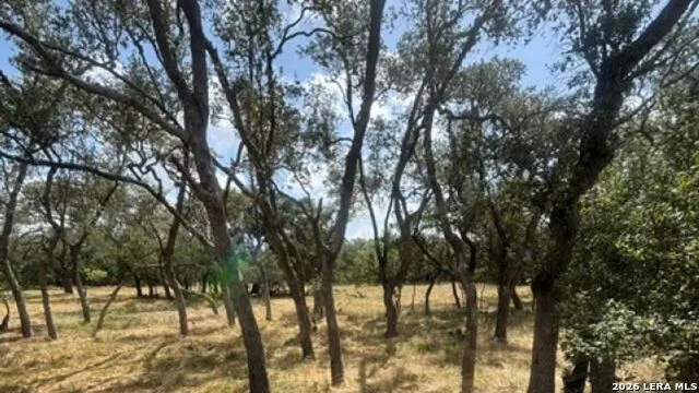 LOT 43 Pr 2535 Mico, TX 78056