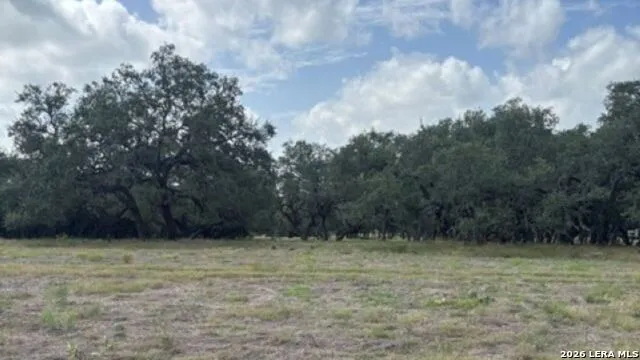 LOT 43 Pr 2535 Mico, TX 78056