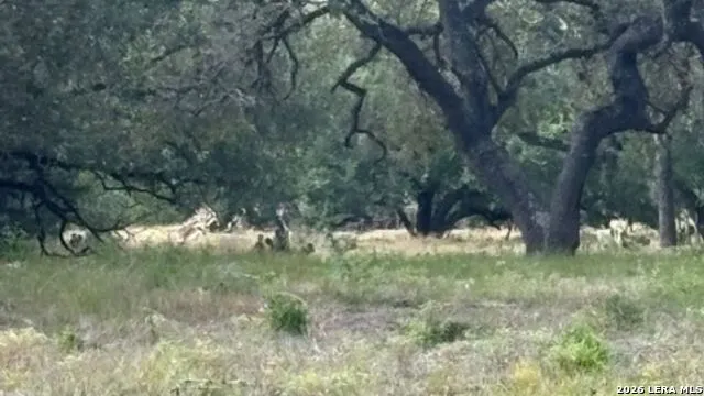 LOT 43 Pr 2535 Mico, TX 78056