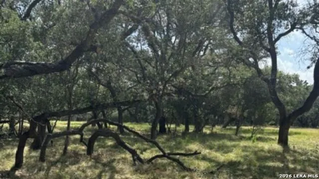 LOT 43 Pr 2535 Mico, TX 78056