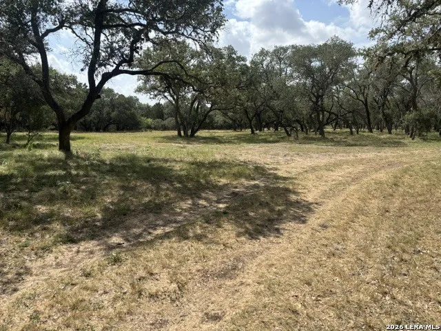 LOT 43 Pr 2535 Mico, TX 78056
