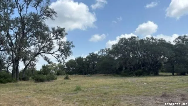 LOT 43 Pr 2535 Mico, TX 78056