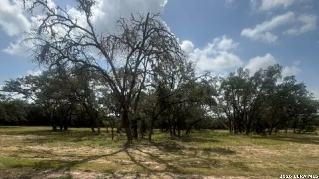LOT 43 Pr 2535 Mico, TX 78056