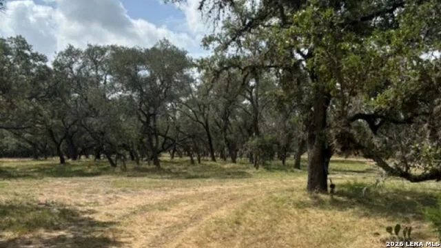LOT 43 Pr 2535 Mico, TX 78056