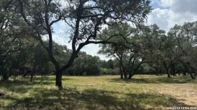LOT 43 Pr 2535 Mico, TX 78056