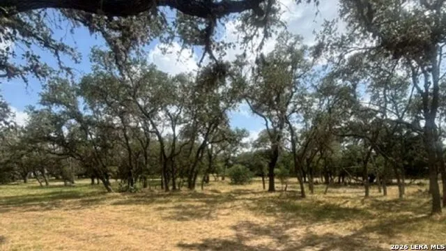 LOT 43 Pr 2535 Mico, TX 78056