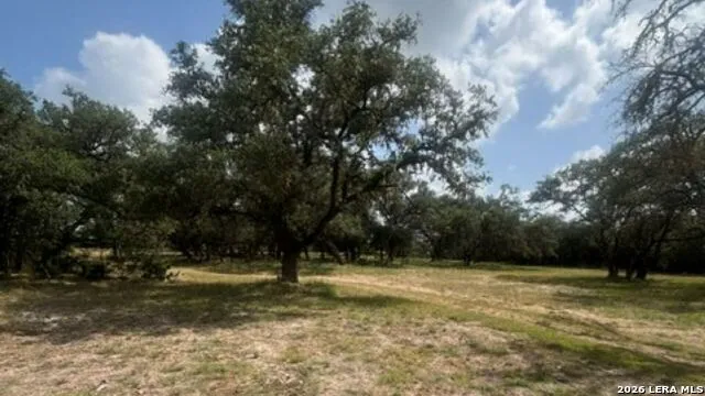 LOT 43 Pr 2535 Mico, TX 78056