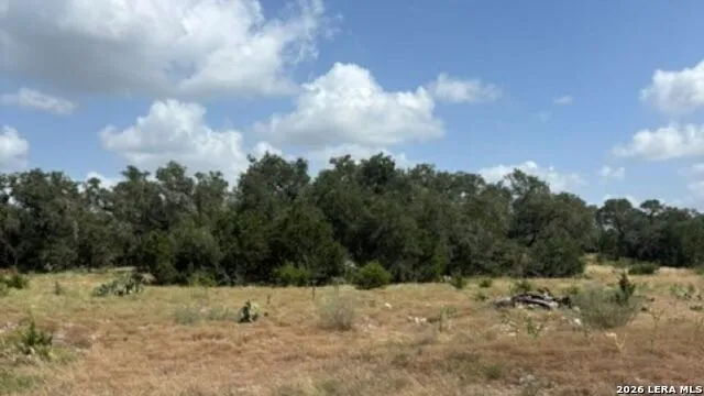 LOT 43 Pr 2535 Mico, TX 78056