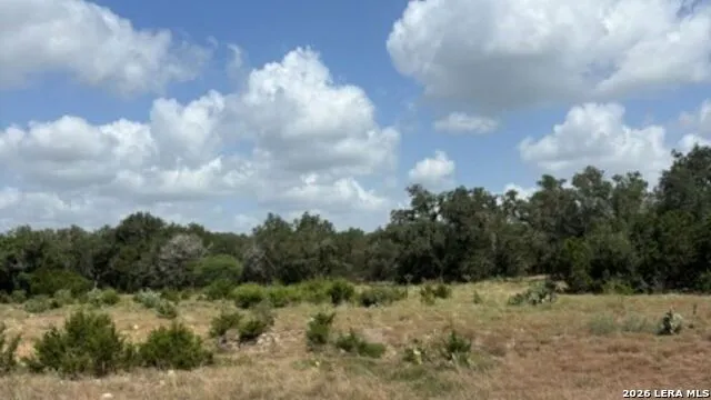 LOT 43 Pr 2535 Mico, TX 78056