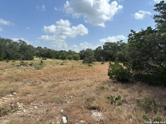 LOT 43 Pr 2535 Mico, TX 78056
