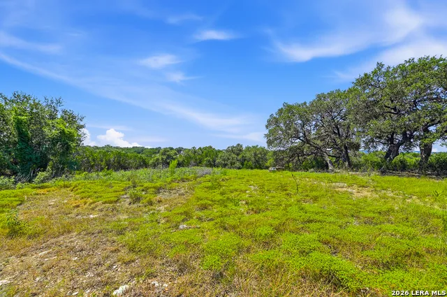 1353 BRUSHY CREEK DR Lakehills, TX 78063