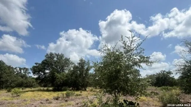 LOT 44 Pr 2535 Mico, TX 78056