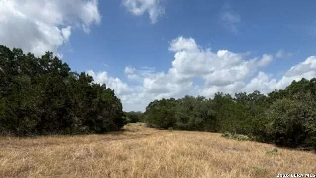 LOT 44 Pr 2535 Mico, TX 78056