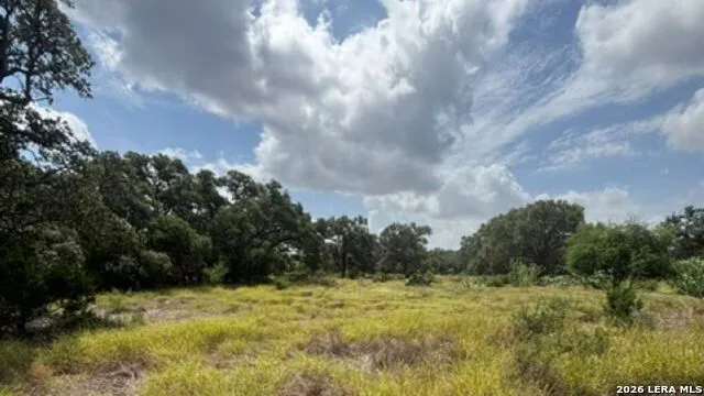 LOT 44 Pr 2535 Mico, TX 78056