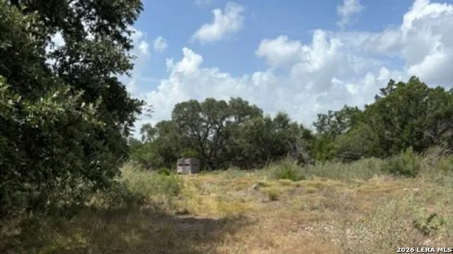 LOT 44 Pr 2535 Mico, TX 78056