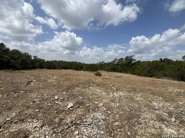 LOT 44 Pr 2535 Mico, TX 78056