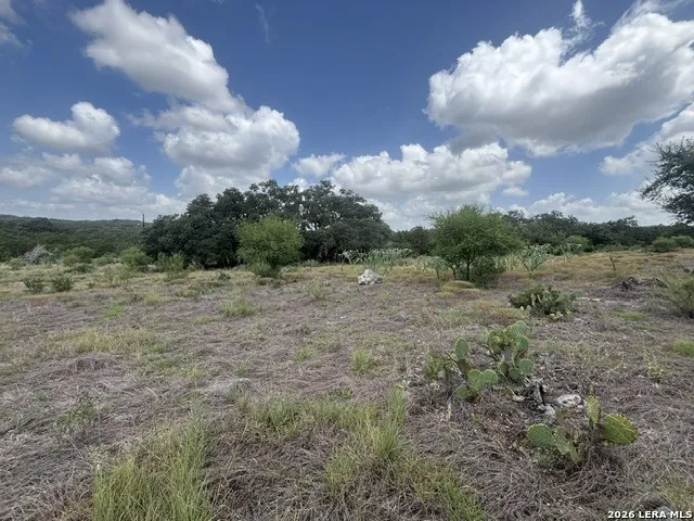 LOT 44 Pr 2535 Mico, TX 78056