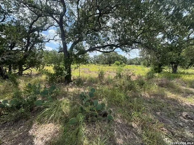 LOT 44 Pr 2535 Mico, TX 78056