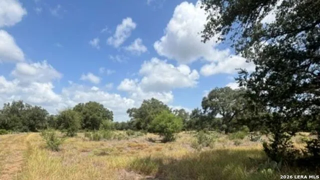 LOT 44 Pr 2535 Mico, TX 78056