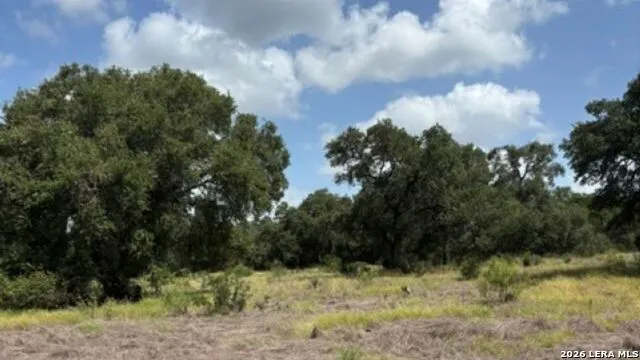 LOT 44 Pr 2535 Mico, TX 78056