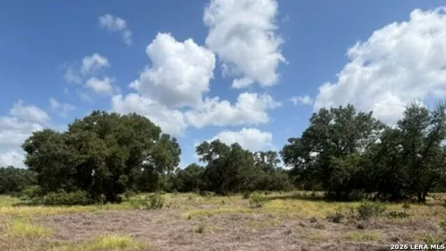 LOT 44 Pr 2535 Mico, TX 78056