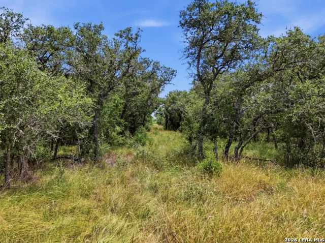 LOT 37 Utopia Oaks Dhanis, TX 78850