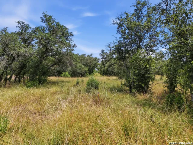 LOT 37 Utopia Oaks Dhanis, TX 78850