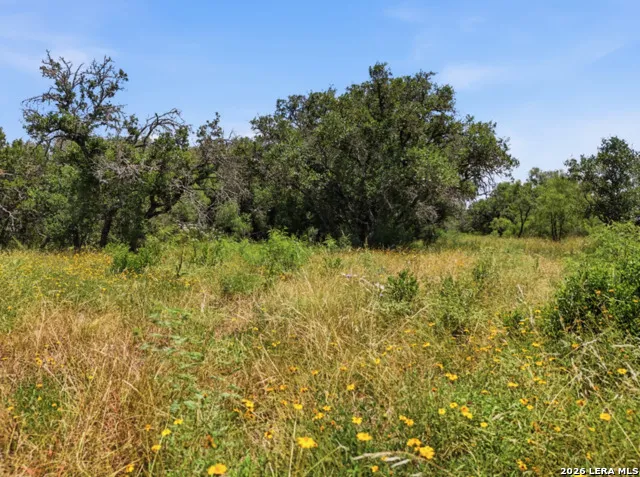 LOT 37 Utopia Oaks Dhanis, TX 78850