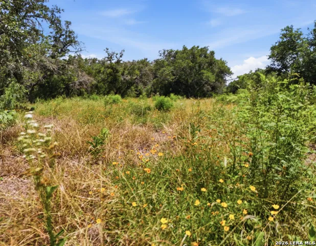 LOT 37 Utopia Oaks Dhanis, TX 78850