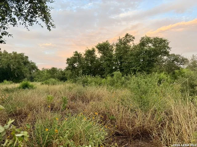 LOT 37 Utopia Oaks Dhanis, TX 78850