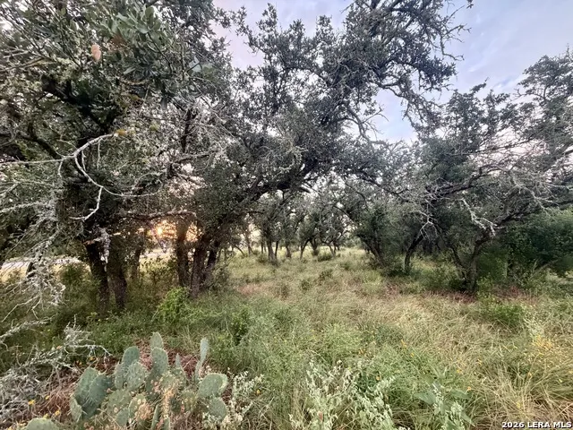 LOT 37 Utopia Oaks Dhanis, TX 78850