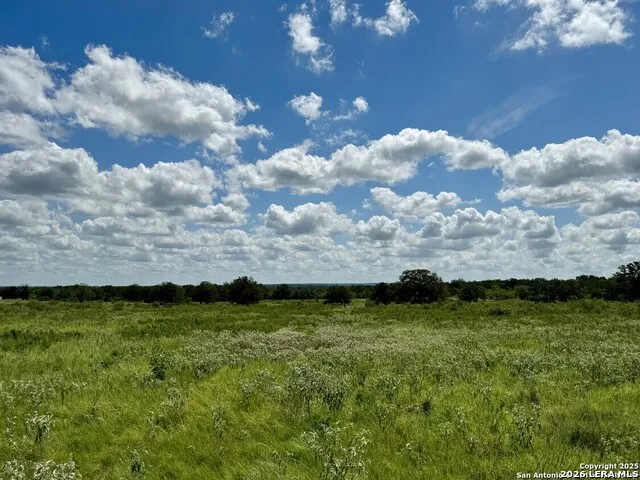 133 Wheeler Stockdale, TX 78160