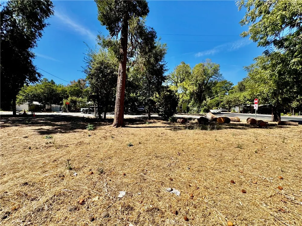1257 9th E Chico, CA 95928