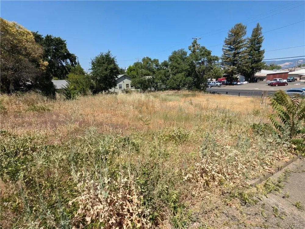 455 Forbes Street Lakeport, CA 95453