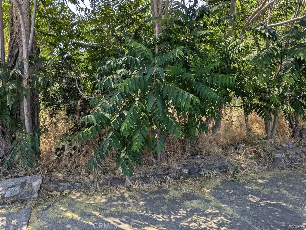 455 Forbes Street Lakeport, CA 95453