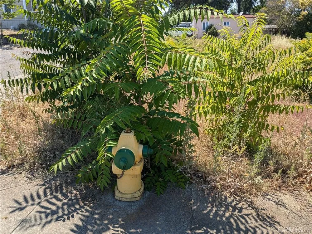 455 Forbes Street Lakeport, CA 95453