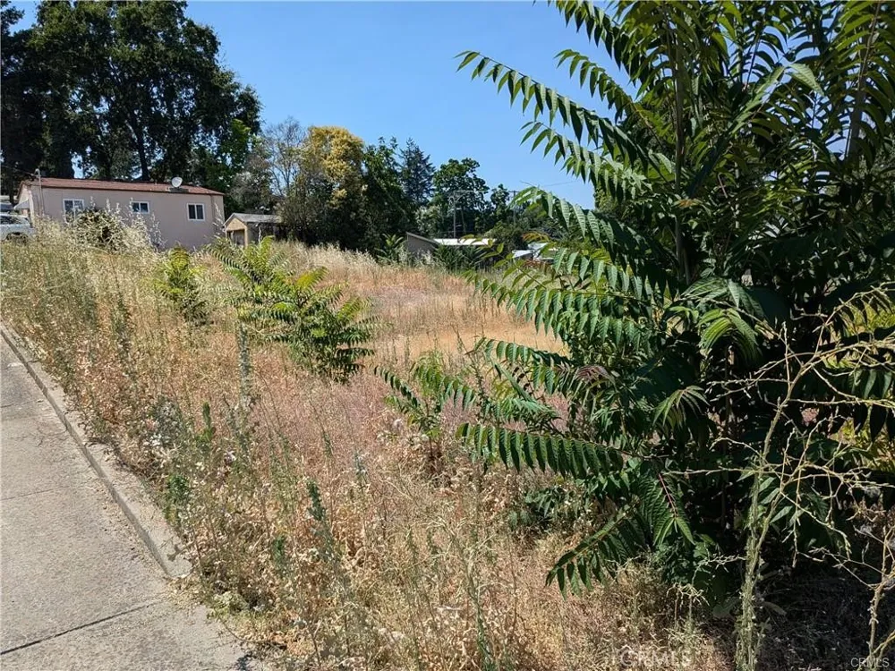 455 Forbes Street Lakeport, CA 95453