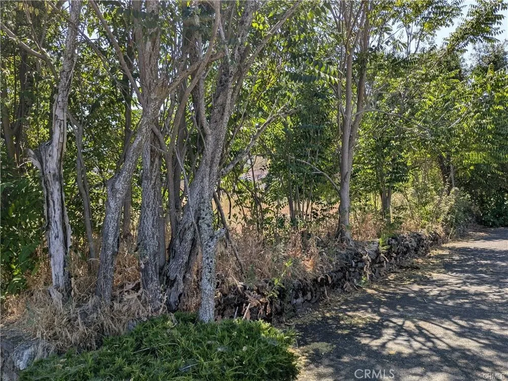 455 Forbes Street Lakeport, CA 95453