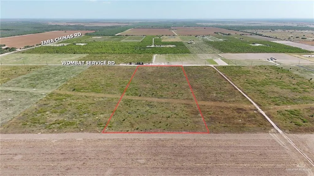 0 Wombat Service Road La Joya, TX 78560