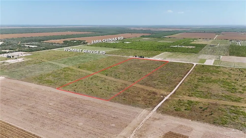0 Wombat Service Road La Joya, TX 78560