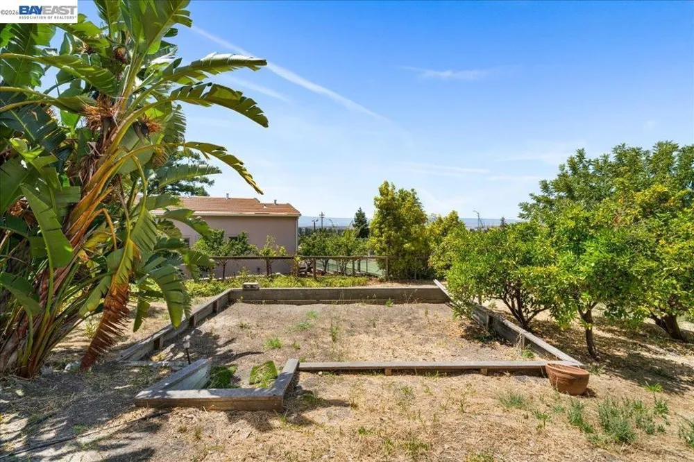 46935 Aloe Ct Fremont, CA 94539