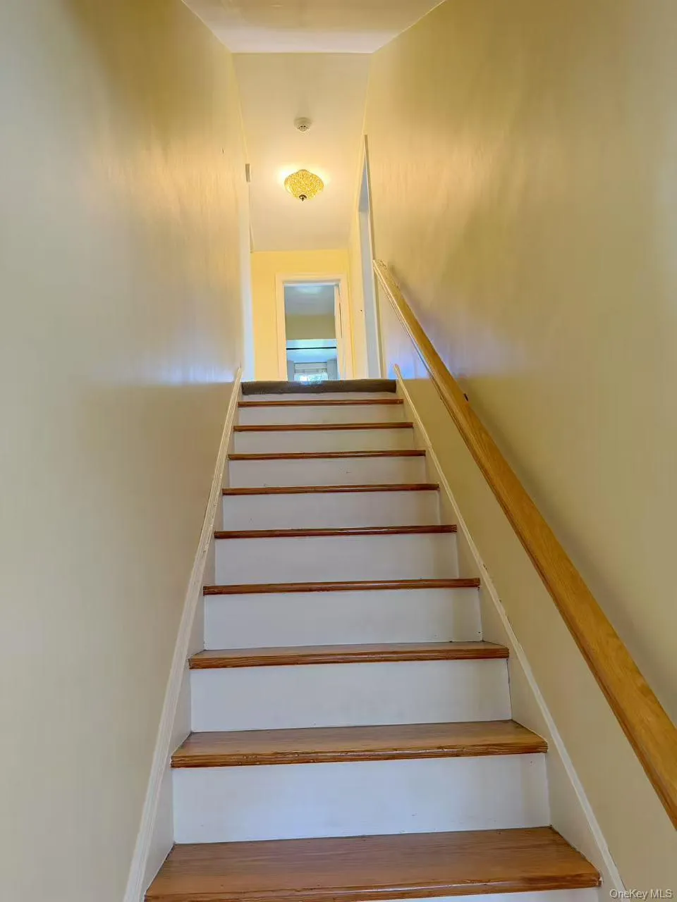 68 Woodbine Road East Hills, NY 11577
