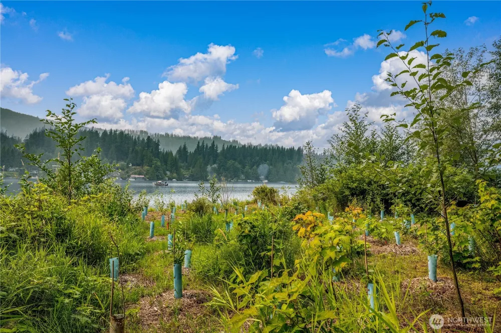 9267 Upper Frost Creek Road Maple Falls, WA 98266